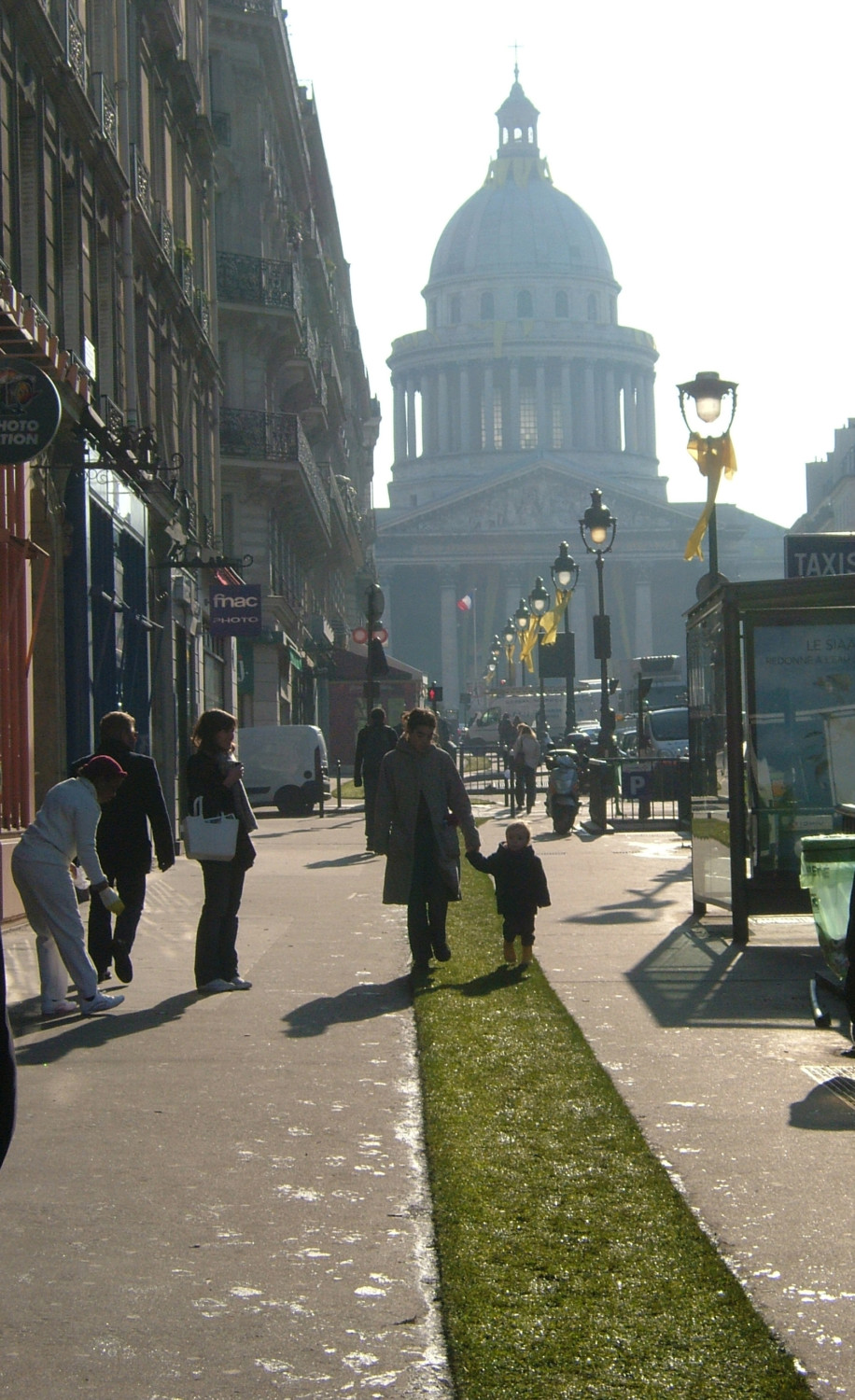 Pantheon-Curie-Jonquilles-4